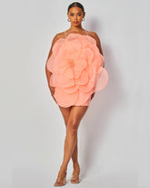 Madeline Dress Peach