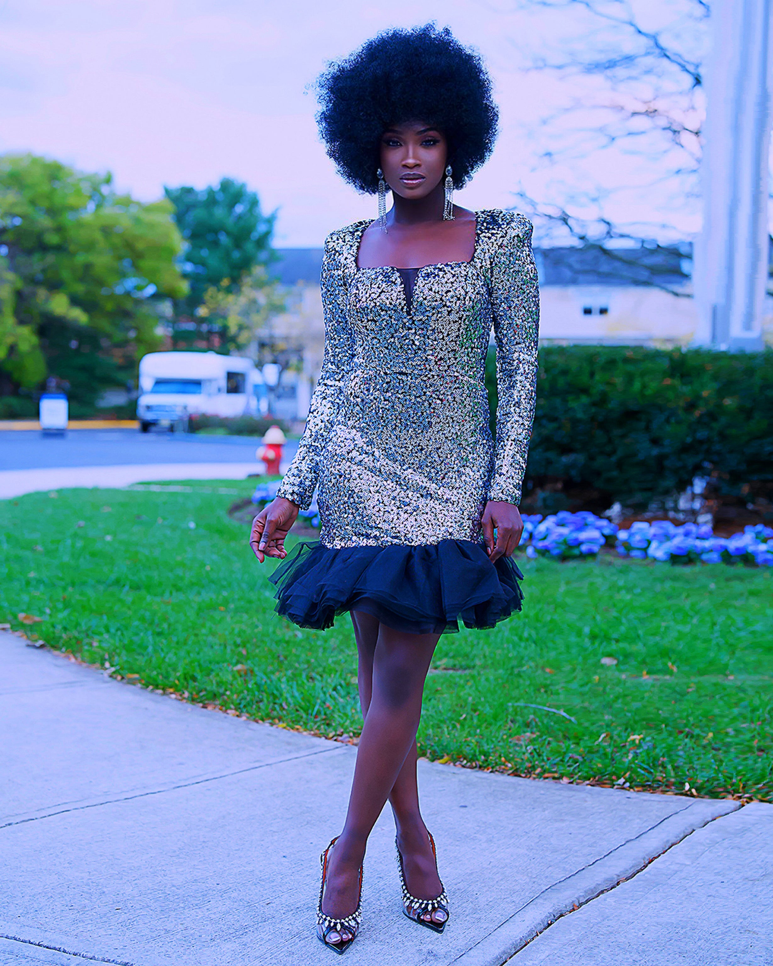 Sonia Sequin Dress