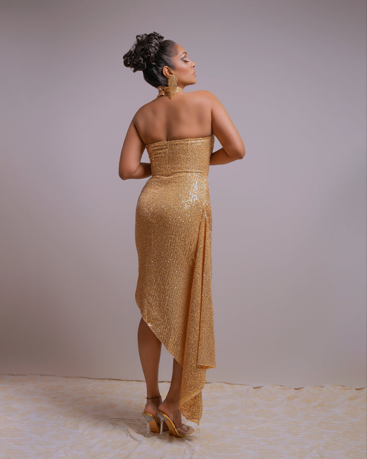 Shala Sequins Dress